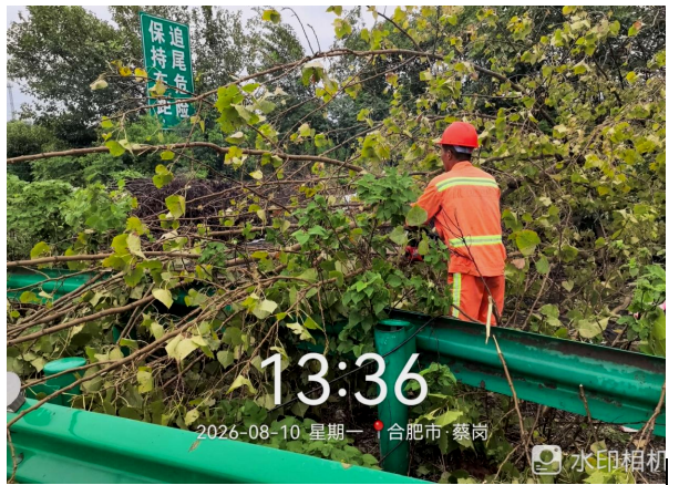 迎战台风“白海豚” 合肥路桥高速养护全员坚守 